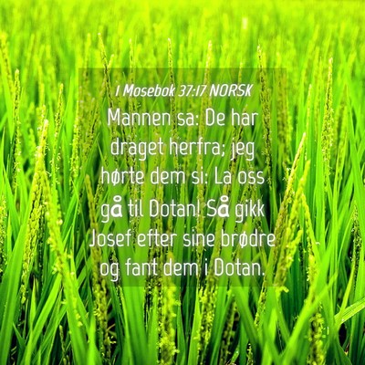 Picture 04 - 1 Mosebok 37:17 NORSK - Mannen sa: De har draget herfra; jeg hørte dem - Bible Verse Picture