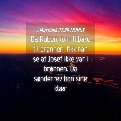 Picture 04 - 1 Mosebok 37:29 NORSK - Da Ruben kom tilbake til brønnen, fikk han se at - Bible Verse Picture