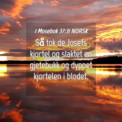 Picture 04 - 1 Mosebok 37:31 NORSK - Så tok de Josefs kjortel og slaktet en gjetebukk - Bible Verse Picture