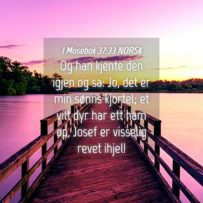 Picture 04 - 1 Mosebok 37:33 NORSK - Og han kjente den igjen og sa: Jo, det er min - Bible Verse Picture