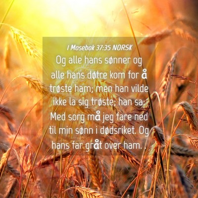 Picture 04 - 1 Mosebok 37:35 NORSK - Og alle hans sønner og alle hans døtre kom for - Bible Verse Picture