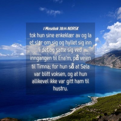Picture 04 - 1 Mosebok 38:14 NORSK - tok hun sine enkeklær av og la et slør om sig - Bible Verse Picture