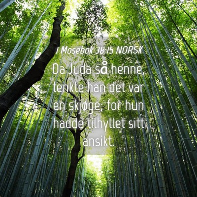 Picture 04 - 1 Mosebok 38:15 NORSK - Da Juda så henne, tenkte han det var en skjøge; - Bible Verse Picture