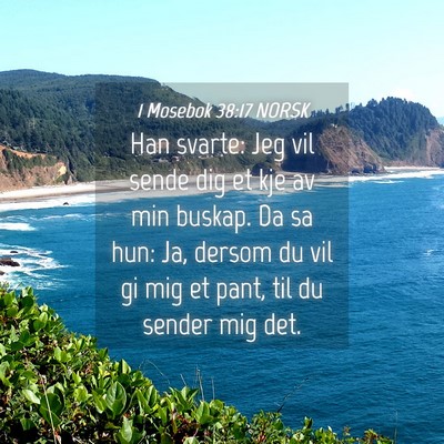Picture 04 - 1 Mosebok 38:17 NORSK - Han svarte: Jeg vil sende dig et kje av min - Bible Verse Picture