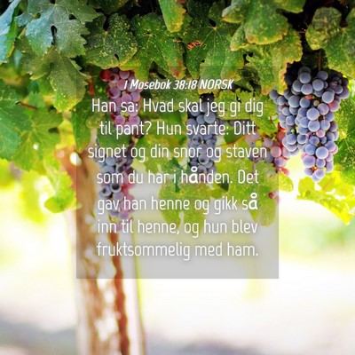 Picture 04 - 1 Mosebok 38:18 NORSK - Han sa: Hvad skal jeg gi dig til pant? Hun - Bible Verse Picture