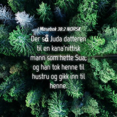 Picture 04 - 1 Mosebok 38:2 NORSK - Der så Juda datteren til en kana'nittisk mann - Bible Verse Picture