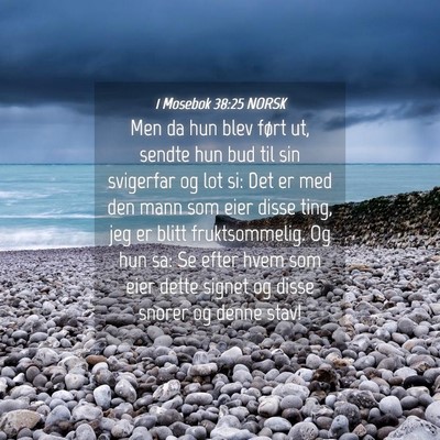 Picture 04 - 1 Mosebok 38:25 NORSK - Men da hun blev ført ut, sendte hun bud til sin - Bible Verse Picture