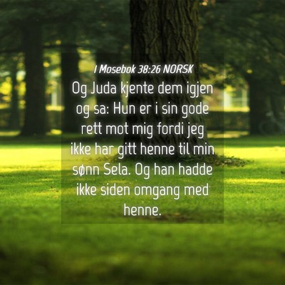 Picture 04 - 1 Mosebok 38:26 NORSK - Og Juda kjente dem igjen og sa: Hun er i sin gode - Bible Verse Picture
