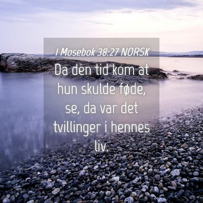 Picture 04 - 1 Mosebok 38:27 NORSK - Da den tid kom at hun skulde føde, se, da var - Bible Verse Picture