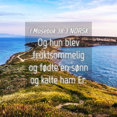 Picture 04 - 1 Mosebok 38:3 NORSK - Og hun blev fruktsommelig og fødte en sønn og - Bible Verse Picture