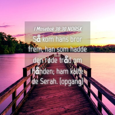Picture 04 - 1 Mosebok 38:30 NORSK - Så kom hans bror frem, han som hadde den røde - Bible Verse Picture
