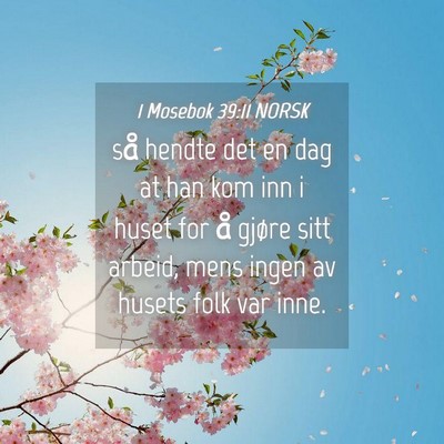 Picture 04 - 1 Mosebok 39:11 NORSK - så hendte det en dag at han kom inn i huset for - Bible Verse Picture