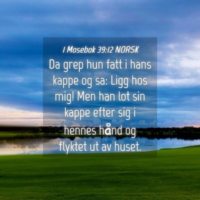 Picture 04 - 1 Mosebok 39:12 NORSK - Da grep hun fatt i hans kappe og sa: Ligg hos - Bible Verse Picture