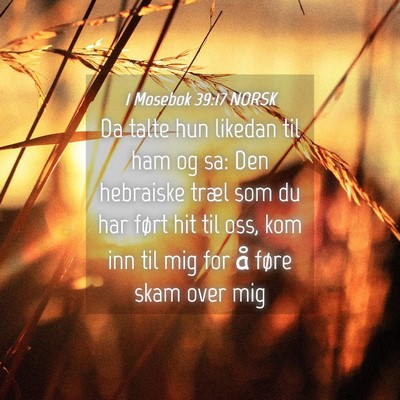 Picture 04 - 1 Mosebok 39:17 NORSK - Da talte hun likedan til ham og sa: Den hebraiske - Bible Verse Picture