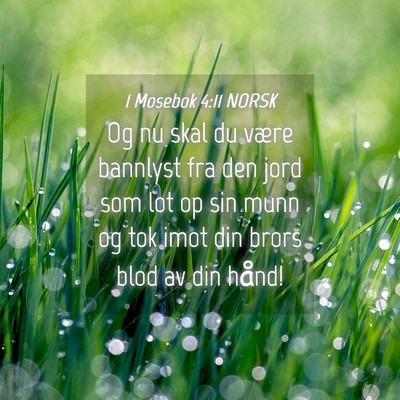 Picture 04 - 1 Mosebok 4:11 NORSK - Og nu skal du være bannlyst fra den jord som lot - Bible Verse Picture