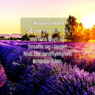 Picture 04 - 1 Mosebok 4:16 NORSK - Så gikk Kain bort fra Herrens åsyn og bosatte - Bible Verse Picture