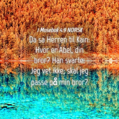 Picture 04 - 1 Mosebok 4:9 NORSK - Da sa Herren til Kain: Hvor er Abel, din bror? - Bible Verse Picture