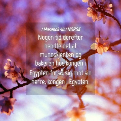 Picture 04 - 1 Mosebok 40:1 NORSK - Nogen tid derefter hendte det at munnskjenken og - Bible Verse Picture