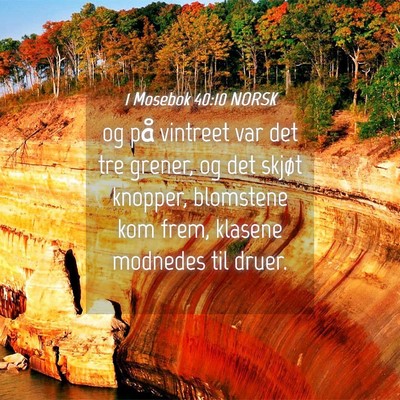Picture 04 - 1 Mosebok 40:10 NORSK - og på vintreet var det tre grener, og det skjøt - Bible Verse Picture