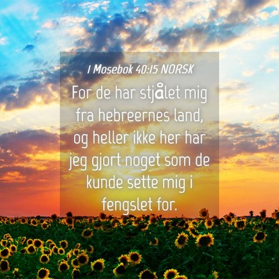 Picture 04 - 1 Mosebok 40:15 NORSK - For de har stjålet mig fra hebreernes land, og - Bible Verse Picture