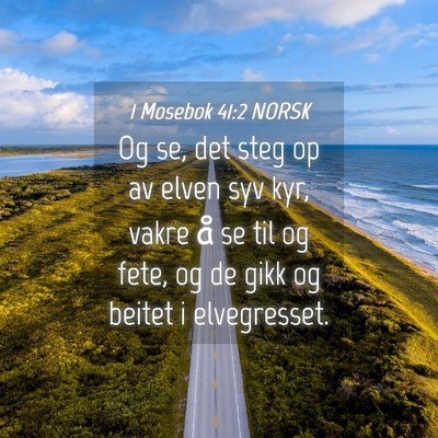 Picture 04 - 1 Mosebok 41:2 NORSK - Og se, det steg op av elven syv kyr, vakre å se - Bible Verse Picture