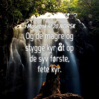 Picture 04 - 1 Mosebok 41:20 NORSK - Og de magre og stygge kyr åt op de syv første, - Bible Verse Picture