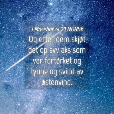 Picture 04 - 1 Mosebok 41:23 NORSK - Og efter dem skjøt det op syv aks som var - Bible Verse Picture