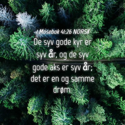 Picture 04 - 1 Mosebok 41:26 NORSK - De syv gode kyr er syv år, og de syv gode aks er - Bible Verse Picture