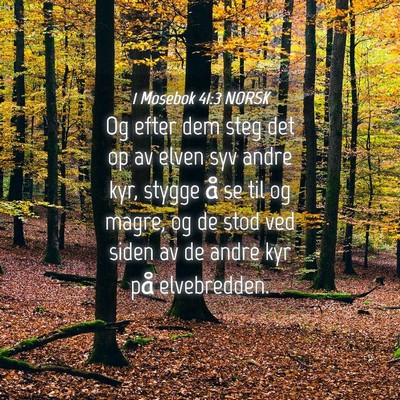 Picture 04 - 1 Mosebok 41:3 NORSK - Og efter dem steg det op av elven syv andre kyr, - Bible Verse Picture