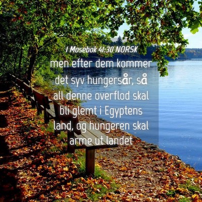 Picture 04 - 1 Mosebok 41:30 NORSK - men efter dem kommer det syv hungersår, så all - Bible Verse Picture