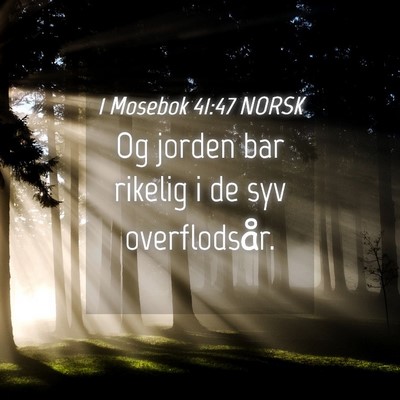 Picture 04 - 1 Mosebok 41:47 NORSK - Og jorden bar rikelig i de syv - Bible Verse Picture