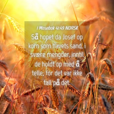 Picture 04 - 1 Mosebok 41:49 NORSK - Så hopet da Josef op korn som havets sand, i - Bible Verse Picture