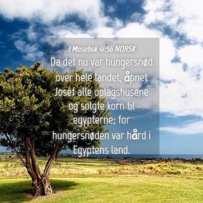 Picture 04 - 1 Mosebok 41:56 NORSK - Da det nu var hungersnød over hele landet, - Bible Verse Picture