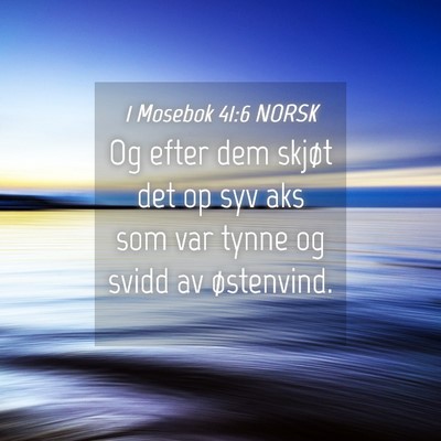 Picture 04 - 1 Mosebok 41:6 NORSK - Og efter dem skjøt det op syv aks som var tynne - Bible Verse Picture