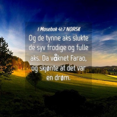 Picture 04 - 1 Mosebok 41:7 NORSK - Og de tynne aks slukte de syv frodige og fulle - Bible Verse Picture