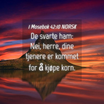 Picture 04 - 1 Mosebok 42:10 NORSK - De svarte ham: Nei, herre, dine tjenere er kommet - Bible Verse Picture
