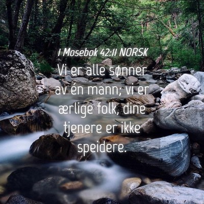 Picture 04 - 1 Mosebok 42:11 NORSK - Vi er alle sønner av én mann; vi er ærlige - Bible Verse Picture