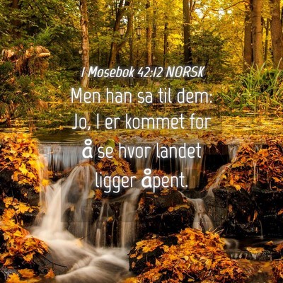 Picture 04 - 1 Mosebok 42:12 NORSK - Men han sa til dem: Jo, I er kommet for å se - Bible Verse Picture