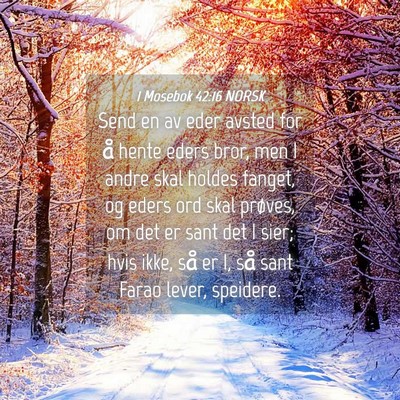 Picture 04 - 1 Mosebok 42:16 NORSK - Send en av eder avsted for å hente eders bror, - Bible Verse Picture