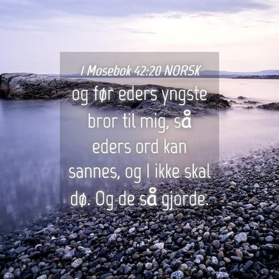 Picture 04 - 1 Mosebok 42:20 NORSK - og før eders yngste bror til mig, så eders ord - Bible Verse Picture