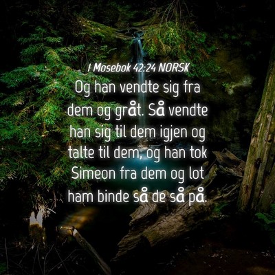 Picture 04 - 1 Mosebok 42:24 NORSK - Og han vendte sig fra dem og gråt. Så vendte - Bible Verse Picture