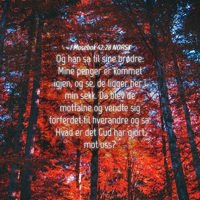 Picture 04 - 1 Mosebok 42:28 NORSK - Og han sa til sine brødre: Mine penger er kommet - Bible Verse Picture
