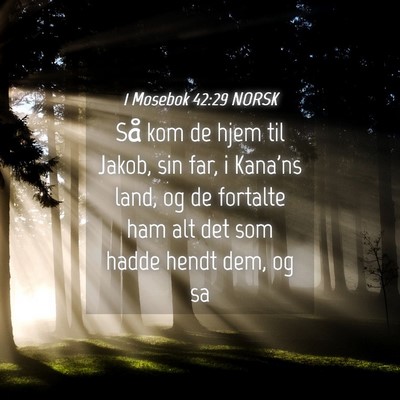 Picture 04 - 1 Mosebok 42:29 NORSK - Så kom de hjem til Jakob, sin far, i Kana'ns - Bible Verse Picture