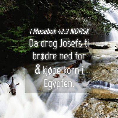 Picture 04 - 1 Mosebok 42:3 NORSK - Da drog Josefs ti brødre ned for å kjøpe korn - Bible Verse Picture