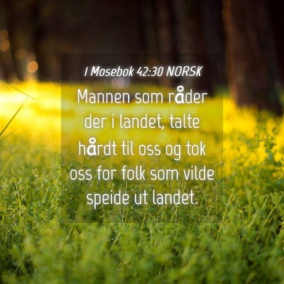 Picture 04 - 1 Mosebok 42:30 NORSK - Mannen som råder der i landet, talte hårdt til - Bible Verse Picture