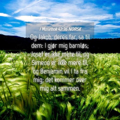 Picture 04 - 1 Mosebok 42:36 NORSK - Og Jakob, deres far, sa til dem: I gjør mig - Bible Verse Picture
