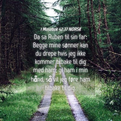 Picture 04 - 1 Mosebok 42:37 NORSK - Da sa Ruben til sin far: Begge mine sønner kan - Bible Verse Picture