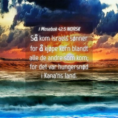 Picture 04 - 1 Mosebok 42:5 NORSK - Så kom Israels sønner for å kjøpe korn blandt - Bible Verse Picture