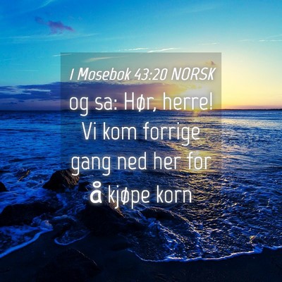 Picture 04 - 1 Mosebok 43:20 NORSK - og sa: Hør, herre! Vi kom forrige gang ned her - Bible Verse Picture