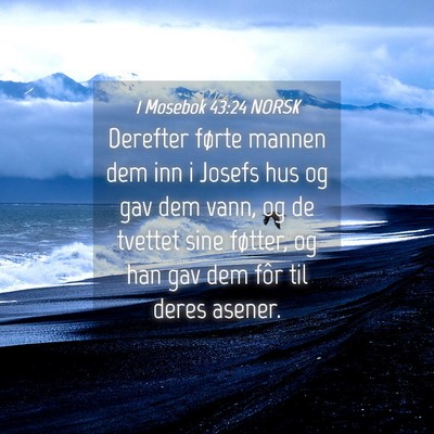 Picture 04 - 1 Mosebok 43:24 NORSK - Derefter førte mannen dem inn i Josefs hus og - Bible Verse Picture